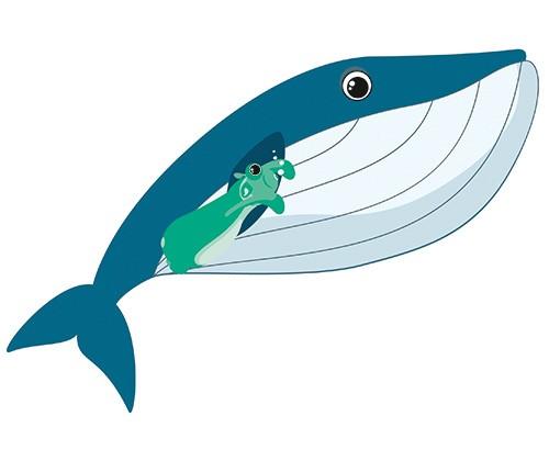 Whale Juzo Iron-on patch Whale
